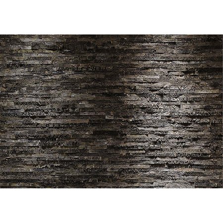 BREWSTER HOME FASHIONS Birkenrinde Wall Mural 100 in 8700